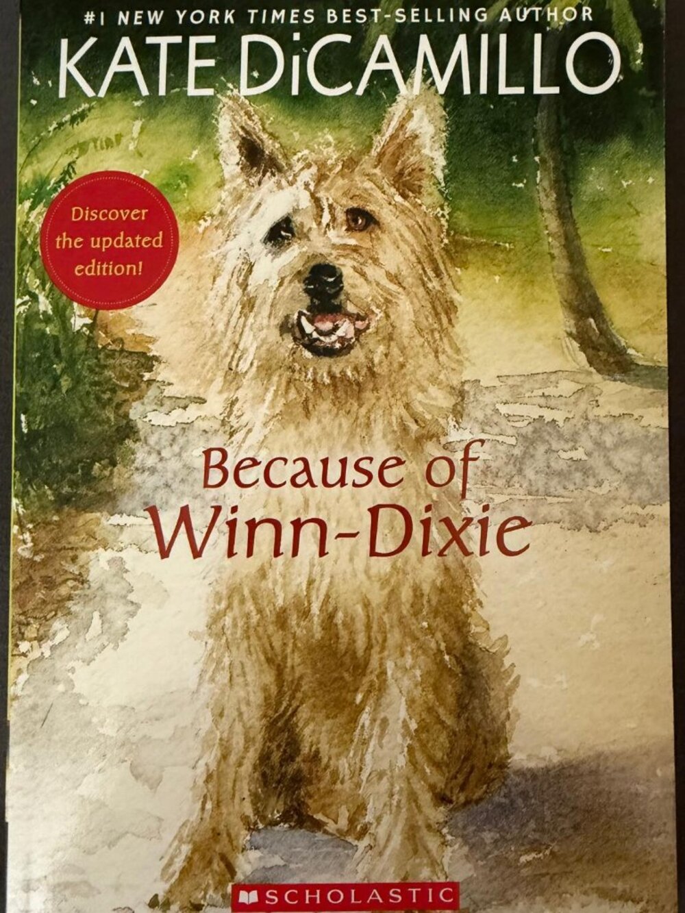 Because of Winn-Dixie by Kate DiCamillo – Brand New Paperback